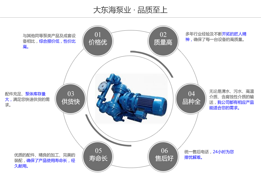 大東海泵業(yè)DBY型電動(dòng)隔膜泵質(zhì)量保證圖