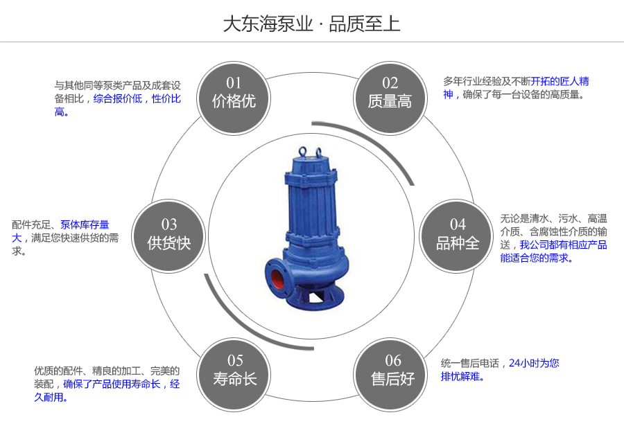 大東海泵業(yè)污水提升泵質(zhì)量保證圖